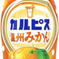 アサヒ カルピス 温州みかん 5倍希釈用 470ml プラスチックボトル 24本 (12本入×2 まとめ買い) 乳酸菌飲料 希釈用 乳酸菌 乳性飲料