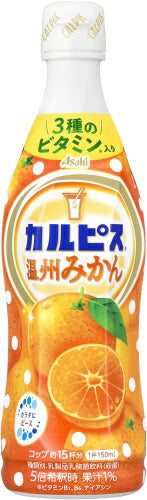 アサヒ カルピス 温州みかん 5倍希釈用 470ml プラスチックボトル 24本 (12本入×2 まとめ買い) 乳酸菌飲料 希釈用 乳酸菌 乳性飲料