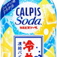 アサヒ カルピス カルピスソーダ 冷やしパイン 450ml ペットボトル 24本入 乳性炭酸飲料 炭酸 乳酸菌 パイン果汁