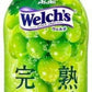アサヒ Welch's ウェルチ 完熟マスカット スパークリング 450ml ペットボトル 48本 (24本入×2 まとめ買い) 炭酸飲料 微炭酸