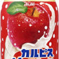 アサヒ カルピス Upフルーツ りんご 470ml ペットボトル 24本入 果汁飲料 乳酸菌飲料 乳性飲料 CALPIS