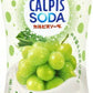 アサヒ カルピス カルピスソーダ クリーミーマスカット 500ml ペットボトル 24本入 炭酸飲料 乳性炭酸飲料