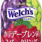 アサヒ Welch's ウェルチ ホリデーブレンド スパークリング 450ml ペットボトル 24本入 炭酸飲料 微炭酸