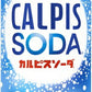 アサヒ カルピス カルピスソーダ 500ml 缶 24本入 乳性炭酸飲料 炭酸飲料
