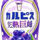 アサヒ カルピス 完熟巨峰 5倍希釈用 470ml プラスチックボトル 24本 (12本入×2 まとめ買い) 乳酸菌飲料 乳酸菌 乳性飲料 希釈