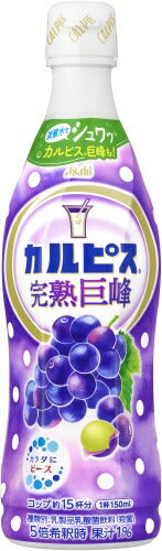 アサヒ カルピス 完熟巨峰 5倍希釈用 470ml プラスチックボトル 12本入 乳酸菌飲料 乳酸菌 乳性飲料 希釈