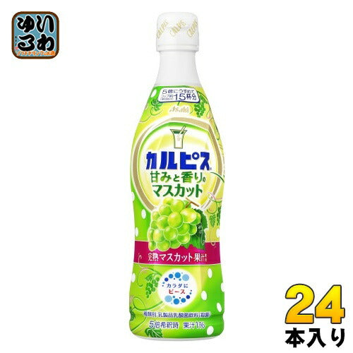 アサヒ カルピス 甘みと香りのマスカット 5倍希釈用 470ml プラスチックボトル 24本 (12本入×2 まとめ買い) 乳酸菌飲料 完熟マスカット