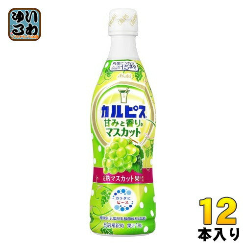 アサヒ カルピス 甘みと香りのマスカット 5倍希釈用 470ml プラスチックボトル 12本入 乳酸菌飲料 完熟マスカット