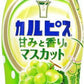 アサヒ カルピス 甘みと香りのマスカット 5倍希釈用 470ml プラスチックボトル 24本 (12本入×2 まとめ買い) 乳酸菌飲料 完熟マスカット