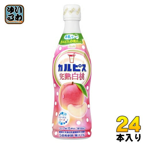 アサヒ カルピス 完熟白桃 5倍希釈用 470ml プラスチックボトル 24本 (12本入×2 まとめ買い) 乳酸菌飲料 乳酸菌 乳性飲料 希釈
