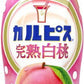 アサヒ カルピス 完熟白桃 5倍希釈用 470ml プラスチックボトル 24本 (12本入×2 まとめ買い) 乳酸菌飲料 乳酸菌 乳性飲料 希釈