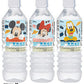 ブルボン ディズニー天然水 500ml ペットボトル 48本 (24本入×2 まとめ買い) ミネラルウォーター 水 軟水
