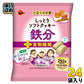ブルボン しっとりソフトクッキー 鉄分 キャラメル味 293g 袋 24袋 (12袋入×2 まとめ買い) お菓子 食物繊維 栄養機能食品