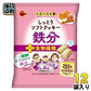 ブルボン しっとりソフトクッキー 鉄分 キャラメル味 293g 12袋 お菓子 食物繊維 栄養機能食品