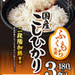 テーブルマーク 国産こしひかり 180g 3食セット×16袋 (8袋入×2 まとめ買い) ふくもち食感 非常食 レトルト インスタント パックご飯 コシヒカリ