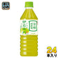 サントリー 緑茶 伊右衛門 VD用 500ml ペットボトル 24本入 お茶 緑茶 いえもん 自販機用