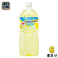 サントリー ビタミンウォーター 2L ペットボトル 6本入 スポーツドリンク 熱中症対策 水分補給
