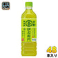サントリー 緑茶 伊右衛門 600ml ペットボトル 48本 (24本入×2 まとめ買い)