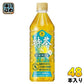 サントリー 伊右衛門 特茶 s ジャスミン VD用 500ml ペットボトル 48本 (24本入×2 まとめ買い) お茶 トクホ 特保 自販機用