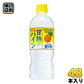 サントリー 甘熟パイン&サントリー天然水 (冷凍兼用) 540ml ペットボトル 48本 (24本入×2 まとめ買い)
