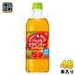 サントリー クラフトボス アセロラのビタミンティー 冷凍兼用 600ml ペットボトル 48本 (24本入×2 まとめ買い) 紅茶飲料 1日分のビタミンC 期間限定 アセロラ