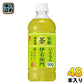 サントリー 緑茶 伊右衛門  (冷温兼用) VD用 500ml ペットボトル 48本 (24本入×2 まとめ買い)
