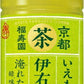 サントリー 緑茶 伊右衛門  (冷温兼用) VD用 500ml ペットボトル 48本 (24本入×2 まとめ買い)