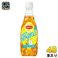 サントリー リプトン レモンスパークル 410ml ペットボトル 48本 (24本入×2 まとめ買い) 炭酸飲料 紅茶