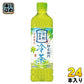 サントリー 緑茶 伊右衛門 冷茶仕立て 600ml ペットボトル 24本入 お茶 緑茶 季節限定