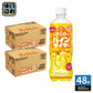 サントリー POP パインサイダー 600ml ペットボトル 48本 (24本入×2 まとめ買い) 炭酸飲料 季節限定