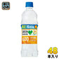 サントリー GREEN DA・KA・RA グリーンダカラ 和柑橘味 冷凍兼用 600ml ペットボトル 48本 (24本入×2 まとめ買い) 熱中症対策 スポーツドリンク