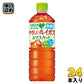 サントリー GREEN DA・KA・RA グリーンダカラ やさしいルイボス&マスカット 600ml ペットボトル 24本入 茶飲料 カフェインゼロ シュガーゼロ ポリフェノール