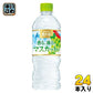 サントリー 天然水 香る、滴る。マスカット 冷凍兼用 540ml ペットボトル 24本入 フレーバーウォーター 1日分のビタミン 冷凍可能