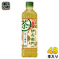 サントリー 緑茶 伊右衛門 炙り一番茶入り 600ml ペットボトル 48本 (24本入×2 まとめ買い) お茶飲料 季節限定 京都 福寿園