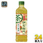 サントリー 緑茶 伊右衛門 炙り一番茶入り 600ml ペットボトル 24本入 お茶飲料 季節限定 京都 福寿園