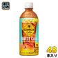 コカ・コーラ ジョージア フルーティーカフェ 500ml ペットボトル 48本 (24本入×2 まとめ買い) コーヒー入り Georgia トロピカルブレンド
