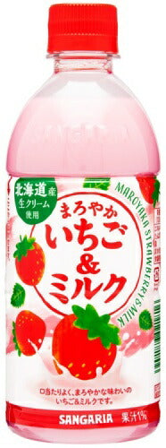サンガリア まろやかいちご＆ミルク 500ml ペットボトル 48本 (24本入×2 まとめ買い) 北海道産 苺