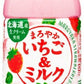 サンガリア まろやかいちご＆ミルク 500ml ペットボトル 24本入 北海道産 苺