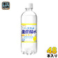 サンガリア 伊賀の天然水 強炭酸水 レモン 500ml ペットボトル 48本 (24本入×2 まとめ買い)