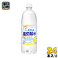 サンガリア 伊賀の天然水 強炭酸水 レモン 1L ペットボトル 24本 (12本入×2 まとめ買い) 〔炭酸水〕
