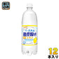 サンガリア 伊賀の天然水 強炭酸水 レモン 1L ペットボトル 12本入 〔炭酸水〕