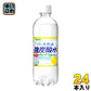 サンガリア 伊賀の天然水 強炭酸水 グレープフルーツ 500ml 24本入 〔炭酸水〕