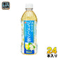 サンガリア あなたのジャスミン茶 500ml ペットボトル 24本入 お茶 ジャスミンティー 最高等級茶葉 銀毫