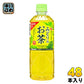 サンガリア みどりのお茶 600ml ペットボトル 48本 (24本入×2 まとめ買い)