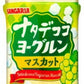 サンガリア ナタデココ ヨーグルンマスカット 500ml ペットボトル 48本 (24本入×2 まとめ買い)