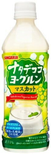 サンガリア ナタデココ ヨーグルンマスカット 500ml ペットボトル 48本 (24本入×2 まとめ買い)