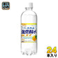 サンガリア 伊賀の天然水 強炭酸水 ゆず 500ml ペットボトル 24本入