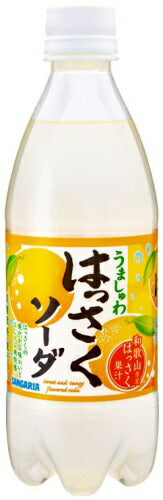 サンガリア うましゅわ はっさくソーダ 500ml ペットボトル 24本入