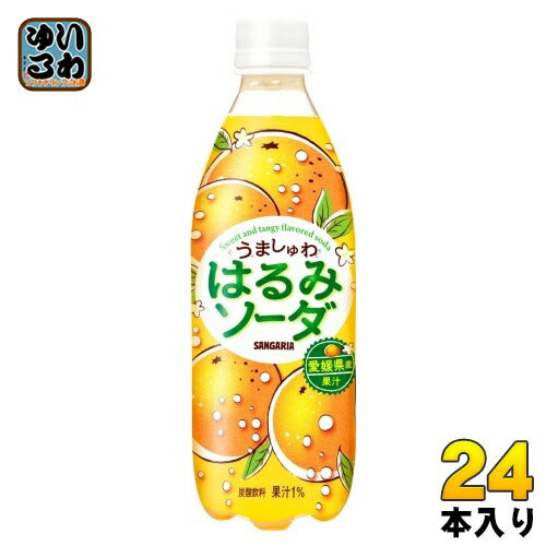 サンガリア うましゅわ はるみソーダ 500ml ペットボトル 24本入 炭酸飲料 愛媛県産 期間限定 みかん オレンジ