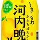 サンガリア うましゅわ 河内晩柑ソーダ 500ml ペットボトル 24本入 果汁 炭酸飲料
